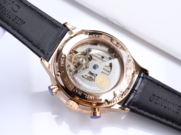 アイ・ダブリュー・シー着用イメージ